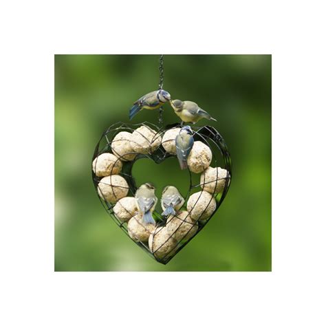 Boules De Graisse Sans Filets Pour Oiseaux Du Jardin X50 Boule