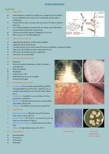 Micosis Oportunistas Eduardo Rivero UDocz