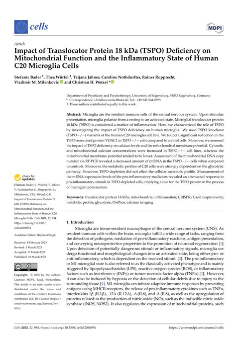 Pdf Impact Of Translocator Protein Kda Tspo Deficiency On