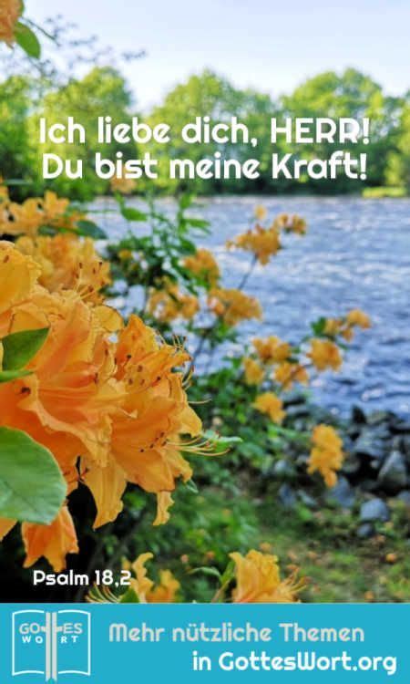 Ich Liebe Dich Herr Du Bist Meine Kraft Psalm Lese Https