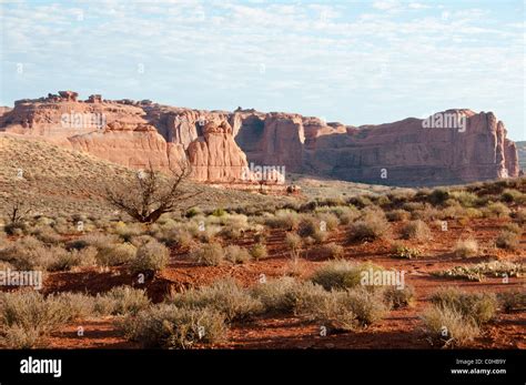 The Organ Courthouse Towers Tower Of Babel Rock Formations Pinnacles