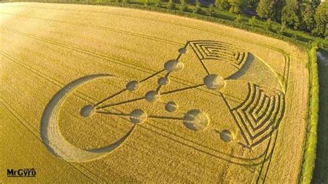 Menjelaskan Misteri Fenomena Crop Circles Tribunjogja