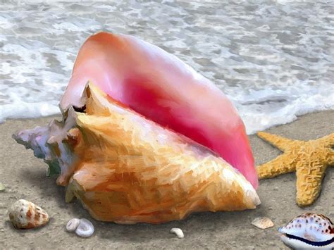 Conch Shell Beach Painting By Stephen Jorgensen