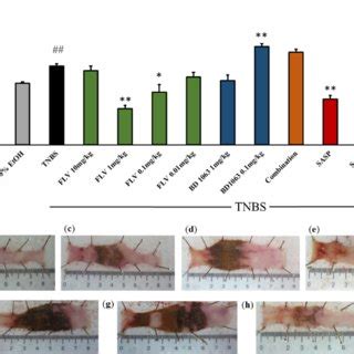 PDF Lessons On The Sigma 1 Receptor In TNBS Induced Rat Colitis