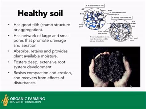 Webinar Series On Soil Health Now Available On Demand Organic Farming