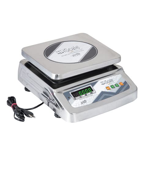 Iscale I Weight Capacity Kg X G Stainless Steel Digital Weighing