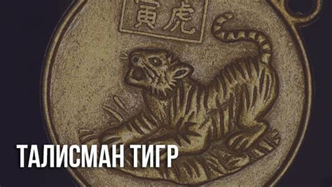 Талисман Тигр: символ Тигра в фэншуй, оберег, татуировка WhatsApp