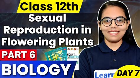 Class 12 Biology Part 6 Sexual Reproduction In Flowering Plants Youtube