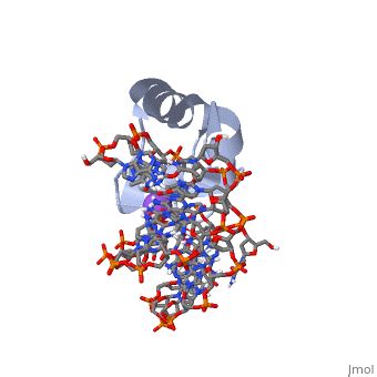 NMR Ensembles Of Models Proteopedia Life In 3D