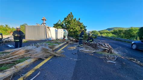 Camión De Paquetería Termina Volcado Tras Chocar Contra Un árbol Por La