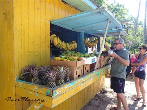 Antigua Black Pineapple | Rum Therapy