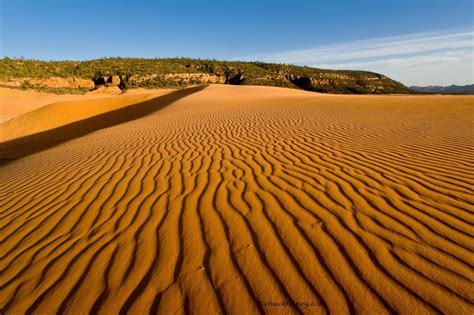 Sand Dunes | Outdoorend