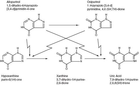 ALLOPURINOL (STAT Rx USA LLC): FDA Package Insert