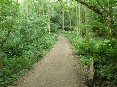 Bridleway Sr656 Through Ten Acre Wood © Robin Webster Cc By Sa 2 0 Geograph Britain And Ireland