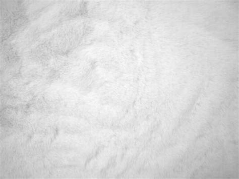 White Fur Texture Stock Photos, Images and Backgrounds for Free Download