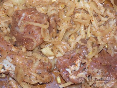 Шашлык из свинины на мангале рецепт пошаговый с фото - Nyamkin.RU