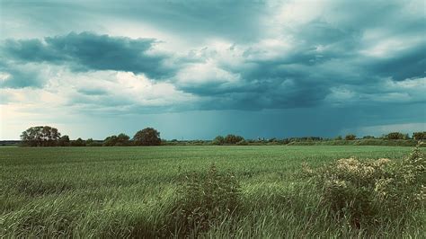 Лето | Пикабу