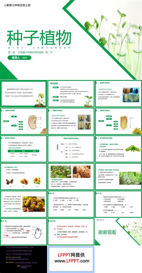 初中生物人教版七年级上册《种子植物》教育教学课件ppt模板下载 Lfppt