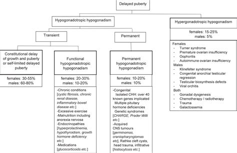 Delayed Puberty Including Constitutional Delay Endocrinology And Metabolism Clinics