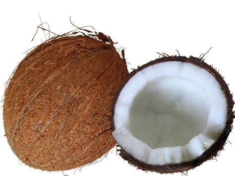 Bei Superfood zugreifen?: Kokosprodukte im Test - n-tv.de