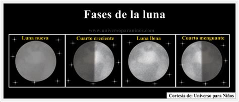 Las Fases De La Luna Para Niños De Primaria Imagui