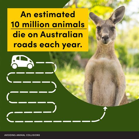 NRSPP Australia - Avoiding Animal Collisions