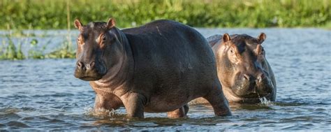 Afrique 18 millions de la BAD pour des projets de résilience