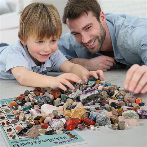 Buy Dancing Bear Rock And Mineral Collection Activity Kit 200pcs With