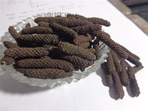 cabe jawa cabe jamu cabai jawa cabai jamu lazada indonesia