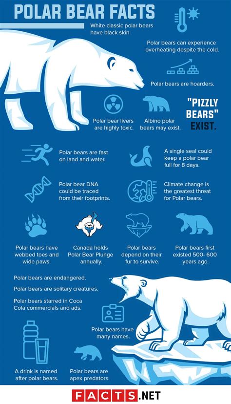 Free Printable Polar Bear Facts