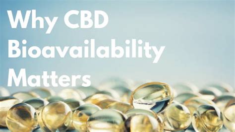 What Is Cbd Bioavailability And Why Does It Matter Mr Terps Bcn Terps Blog