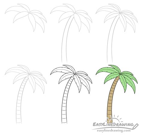 How To Draw A Palm Tree Step By Step