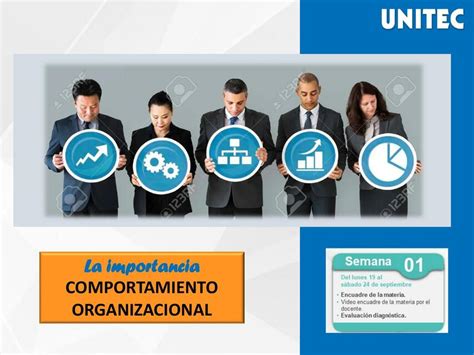 La Importancia Del Comportamiento Organizacional Silvia S Nchez Udocz