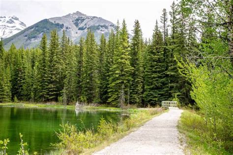 Hiking To Boom Lake In Banff National Park Travel Banff Canada