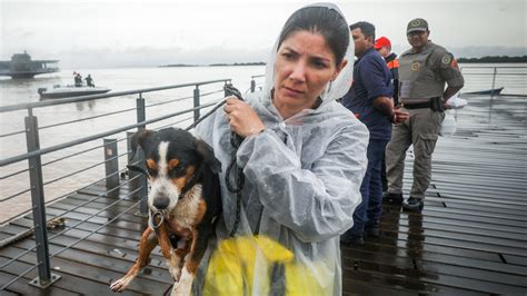 Fotos As Comoventes Imagens Dos Resgates De Animais Na Enchente