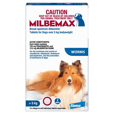Pregnant Dog Guide Pet Better With Pet Circle