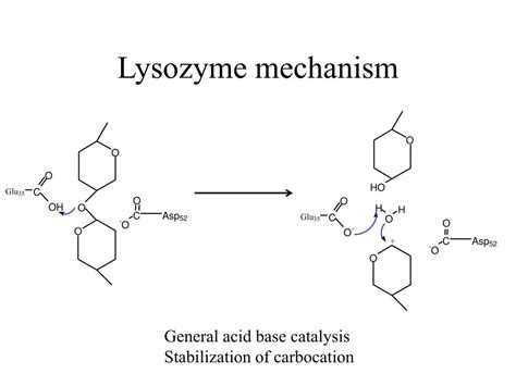 PPT - Lecture 12 PowerPoint Presentation, free download - ID:4028248 