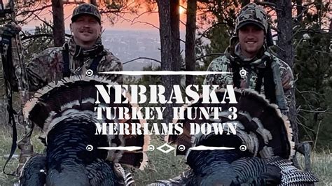 Nebraska 2022 Turkey Hunt 3 Merriams Down Youtube