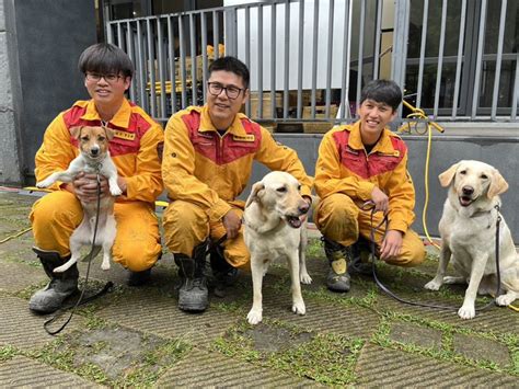 花蓮搜救犬也成地震受災戶！犬舍被貼黃單 忙打包搬家 花蓮大地震重建 要聞 聯合新聞網