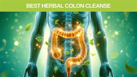 Colon Cleanse Nz Safe Effective Detox For A Healthy Gut