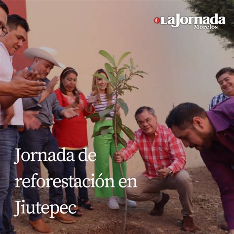 Jornada De Reforestaci N En Jiutepec La Jornada Morelos