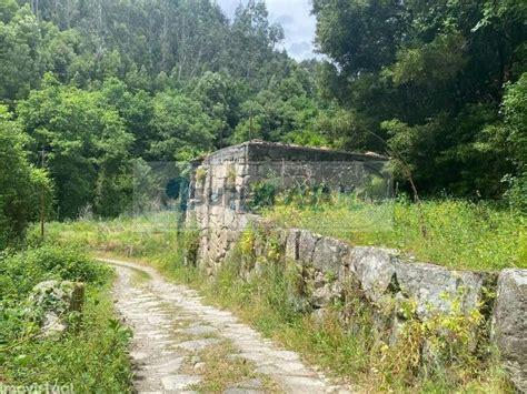 Quintas E Casas R Sticas Moinho Venda Em Abrag O Supercasa