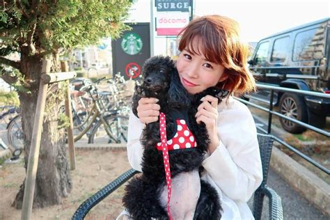 Yuiさんのインスタグラム写真 Yuiinstagram「 犬達とスタバ🐩へ☕︎☕︎ 嬉しい様で大騒ぎでした😂 つ