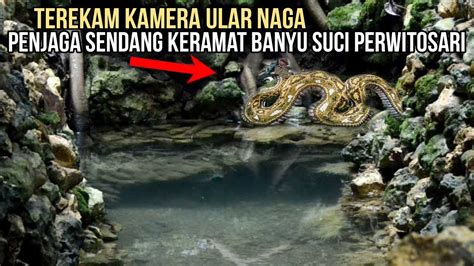 Kejadian Nyata Terekam Kamera Ular Naga Di Sendang Keramat Banyu Suci