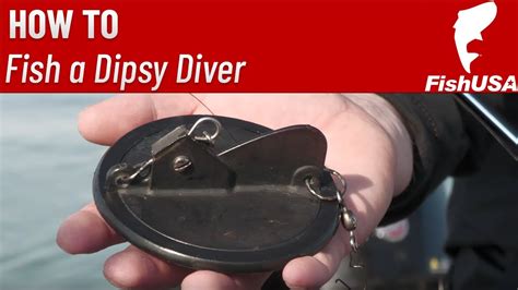 How To Fish A Dipsy Diver Simplified With Lake Erie Charter Captain