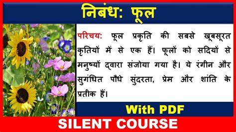 Short Essay On Sunflower Flower In Hindi Best Flower Site