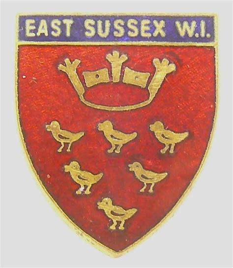 Vintage East Sussex Federation W I Badge