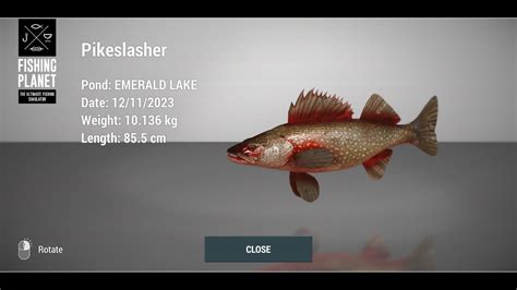 Pikeslasher Emerald Lake New York Fishing Planet Youtube