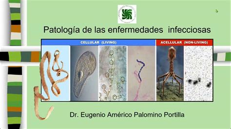 Patología General Patología De Las Enfermedades Infecciosas Y Parasitarias 11 Youtube