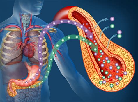 Insulin Resistance A Natural Approach To Healthy Blood Glucose Levels